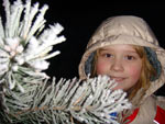 Зимние школьные каникулы 2009 в Финляндии